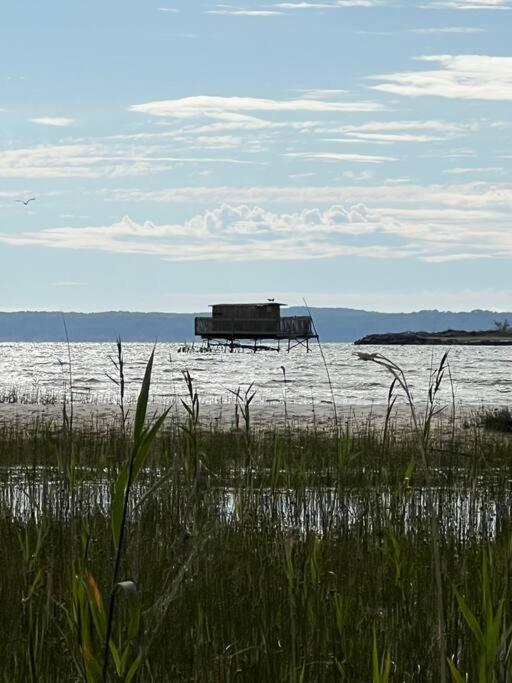 Agreable Maison Landaise Proche Du Lac Sanguinet Εξωτερικό φωτογραφία