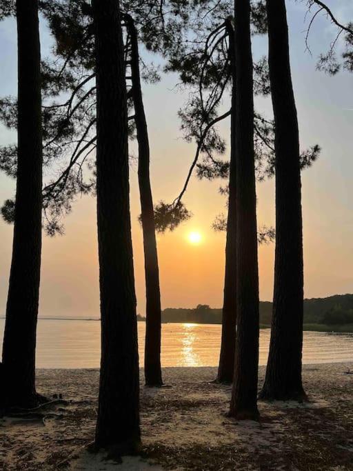 Agreable Maison Landaise Proche Du Lac Sanguinet Εξωτερικό φωτογραφία