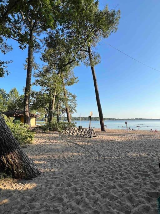 Agreable Maison Landaise Proche Du Lac Sanguinet Εξωτερικό φωτογραφία